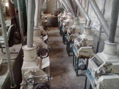 河北唐山杨树宽合集,河北黑老大覆灭记