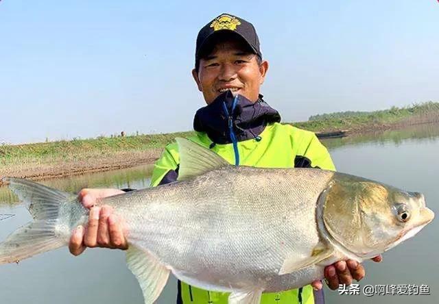 真正牛逼的野钓饵料,钓友2020年推荐公认前十饵料