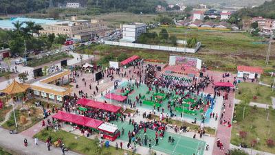 四会石狗镇兰花展今年什么时间,石狗镇程村兰花展馆