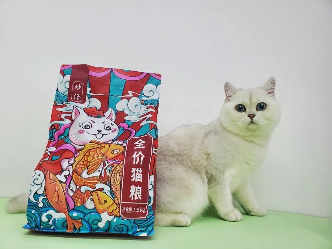 养猫好物大合集精致养猫日常,养猫平替产品