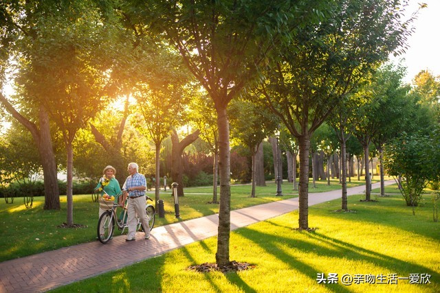 晚上睡不着数羊要数出声音吗,睡不着的时候数羊有什么用