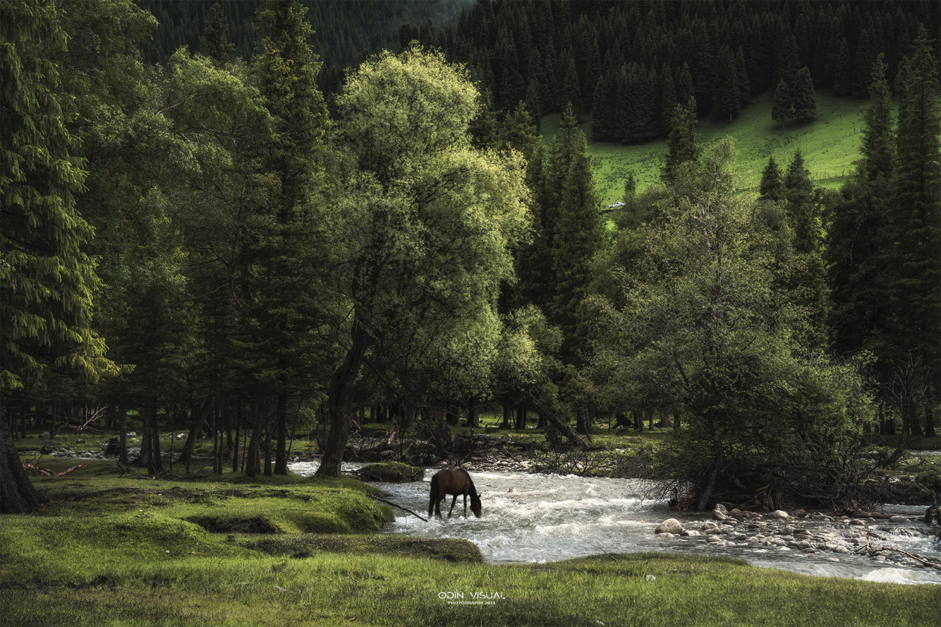 去新疆发现伊犁的美,世界之美尽在伊犁