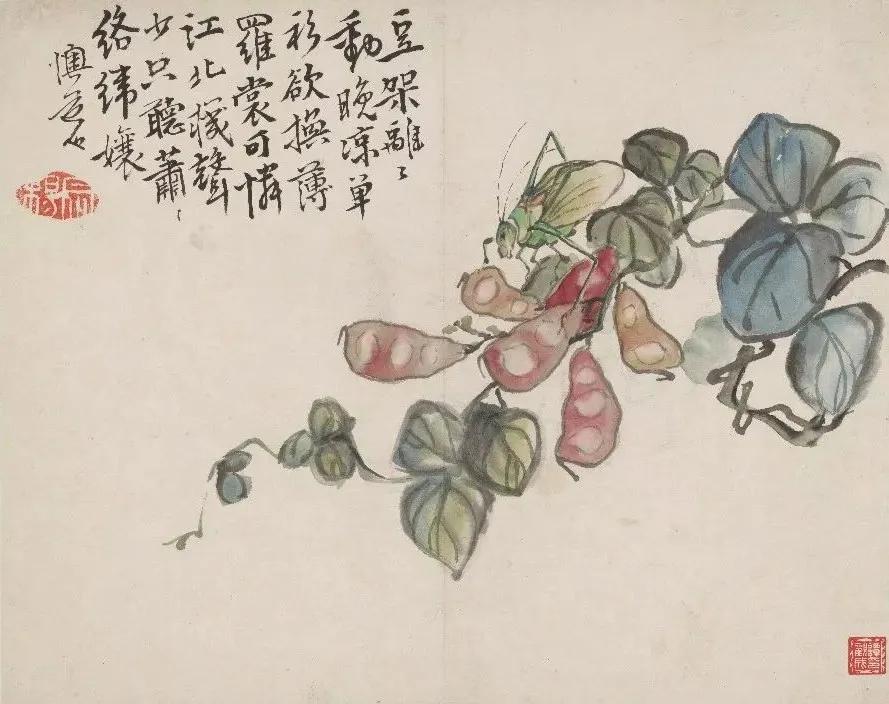 清代九大名家花鸟册页欣赏,清朝九大名家花鸟山水图