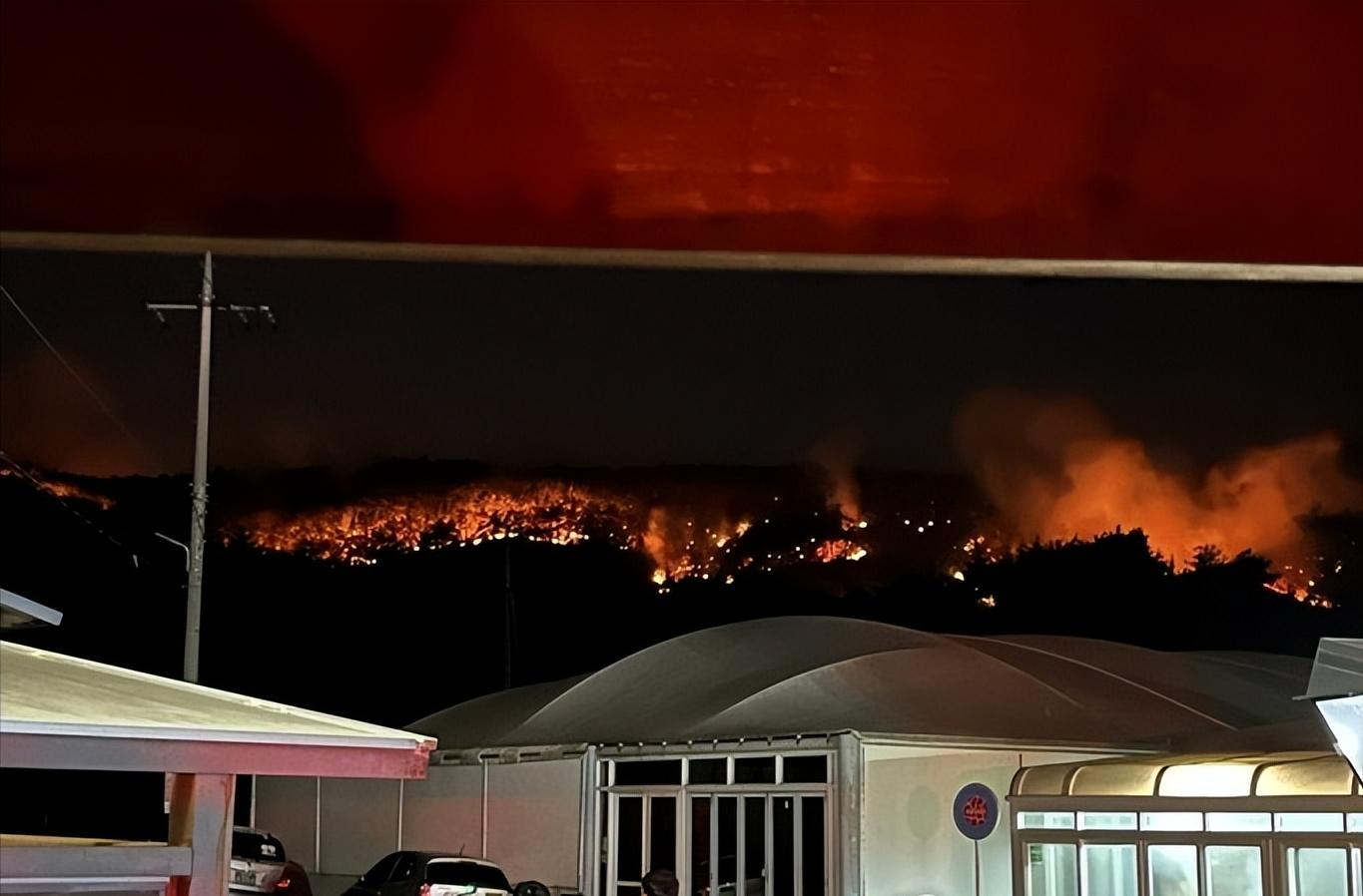 火海被烧,韩国山火过火面积