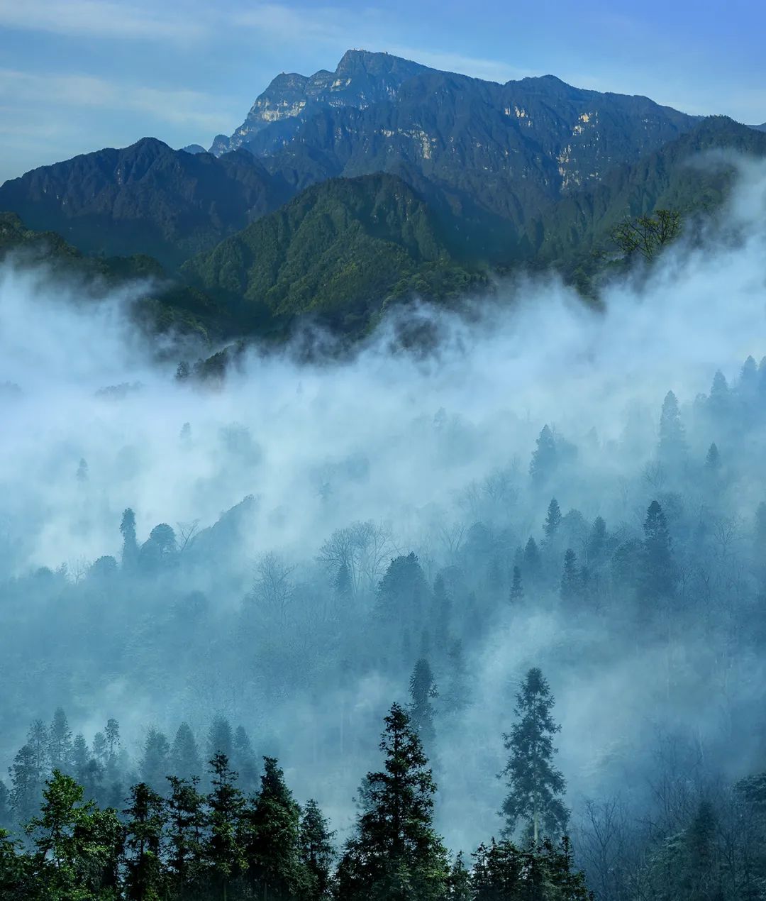 冬日养生泡汤,冬日赏雪泡温泉