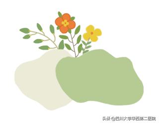 进产房疼得受不了要打无痛吗,进了产房麻醉师一直不来