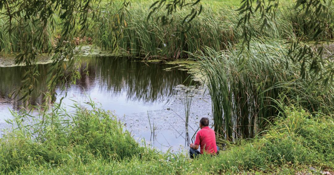 翘嘴用饵作钓口诀,翘嘴鱼拟饵
