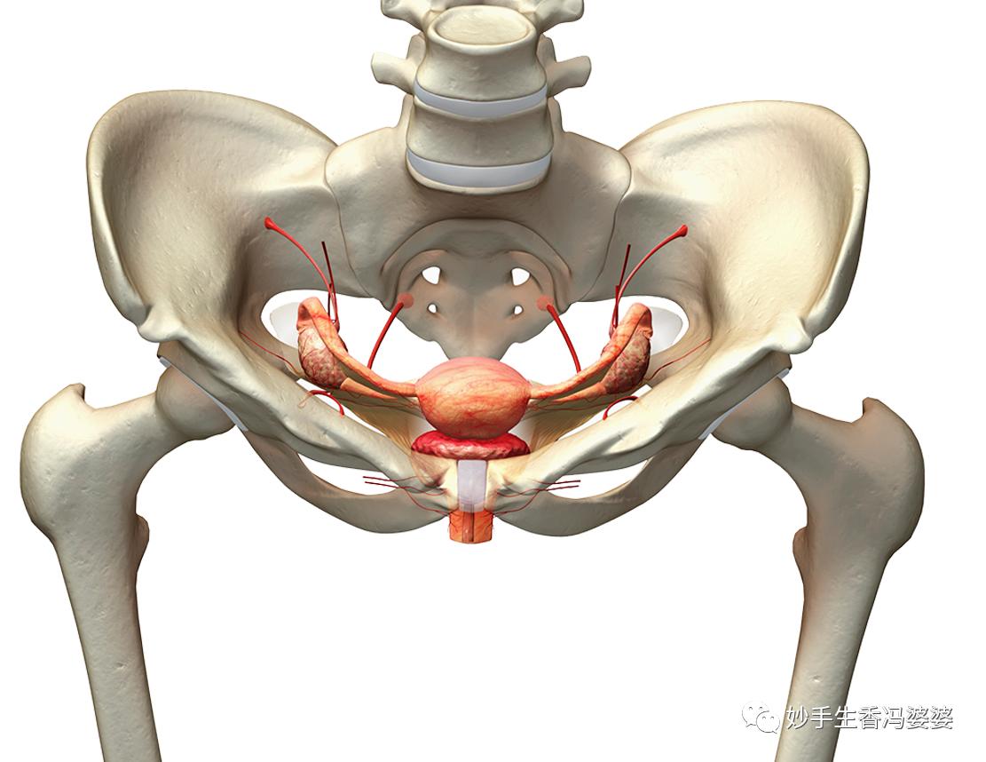 子宫内膜息肉会影响胚胎的发育吗,子宫内膜息肉会引发癌变吗