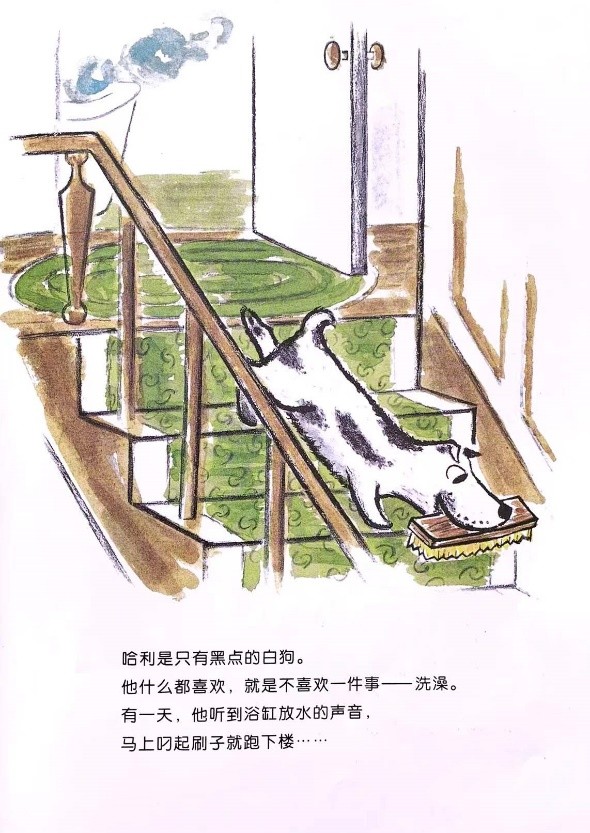 儿童绘本不爱洗澡的小猪,如果不洗澡儿童绘本