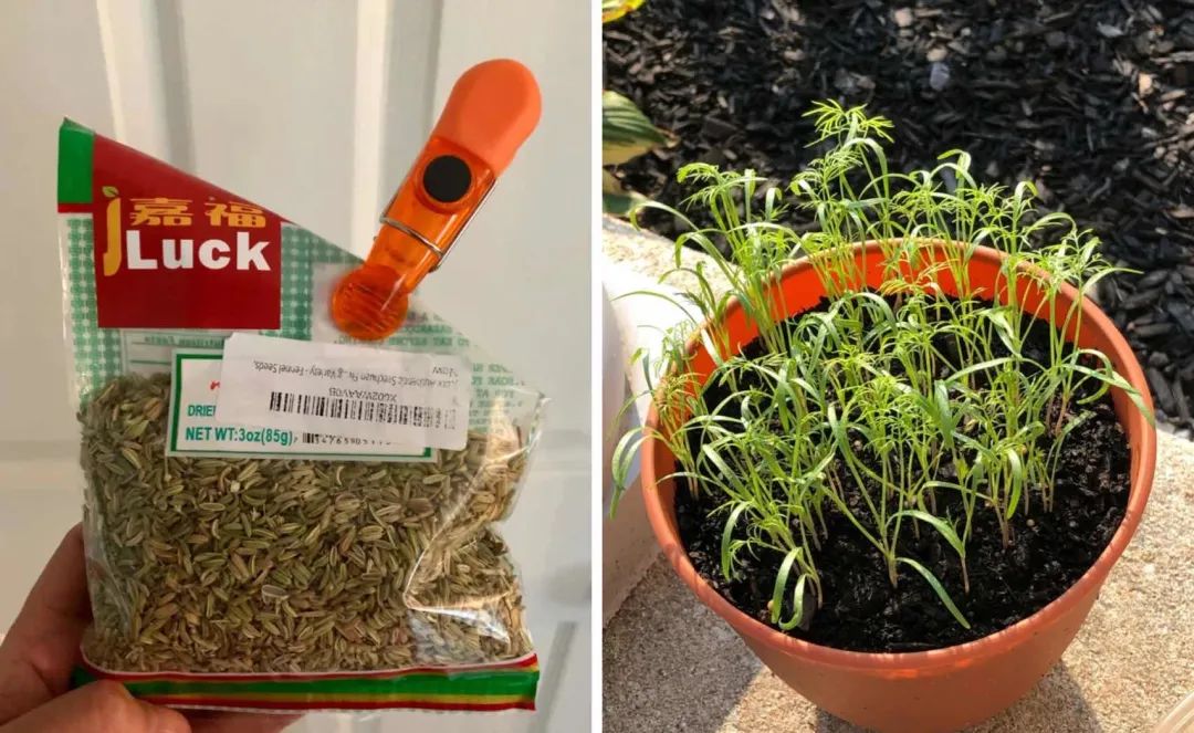 500块钱活一个月的诀窍,500元怎么度过一个月