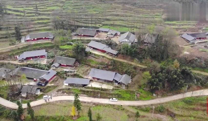 “我们村里有好多自杀的老人”！武汉大学教授田野调查时，很意外