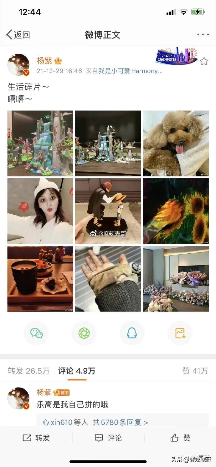 热带鱼cp真的好过吗,热带鱼cp是哪个