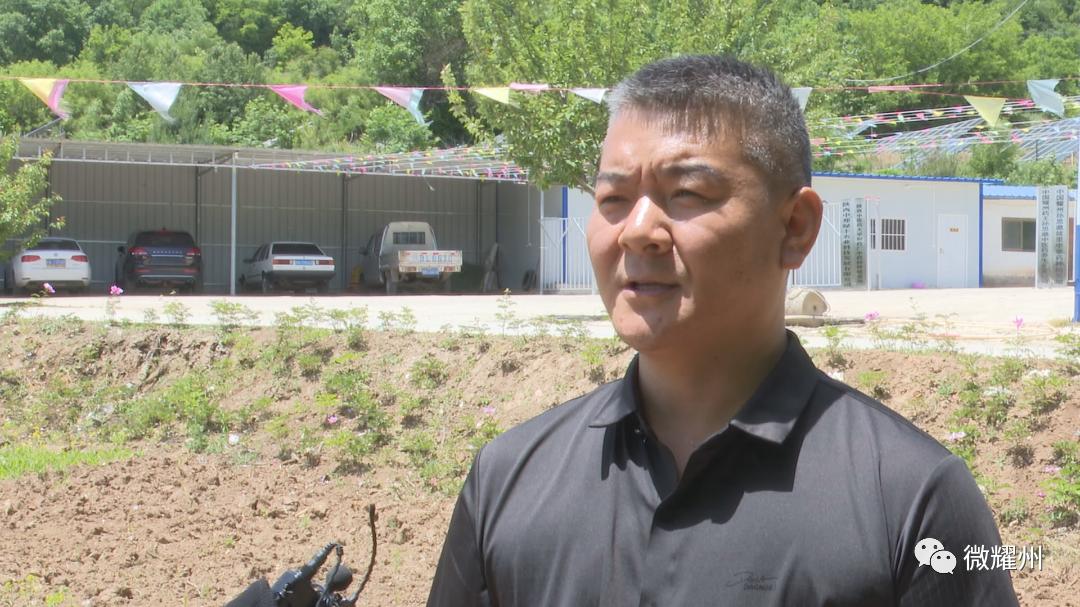 百亩芍药花海吸引人,丰县顺河千亩芍药盛开