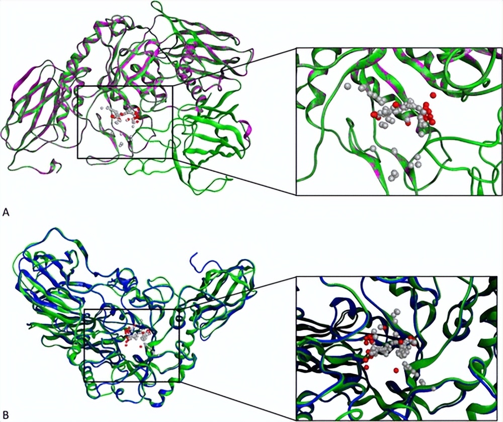 JCIM|虚拟筛选发现微生物组β-葡萄糖醛酸酶*制剂抑**