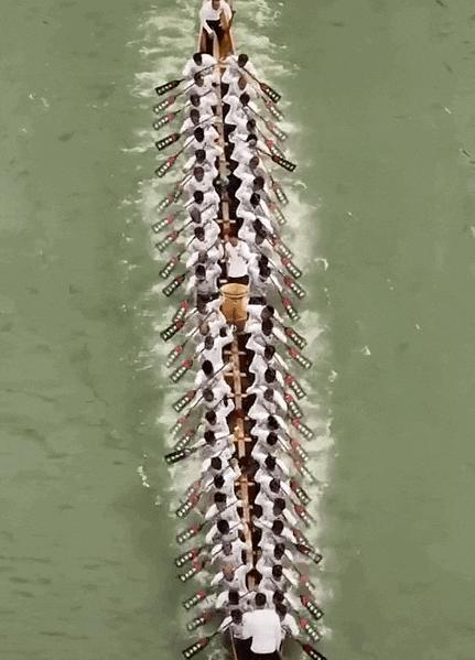 广东200万龙舟比赛,广东赛龙舟火遍全国