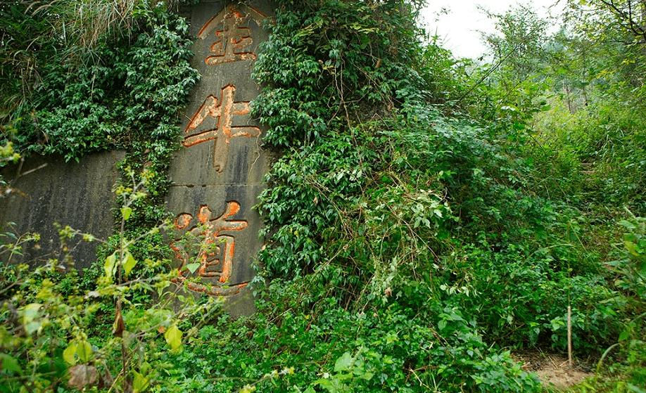 【蜀地探秘】五丁与广元之缘‖徐成武