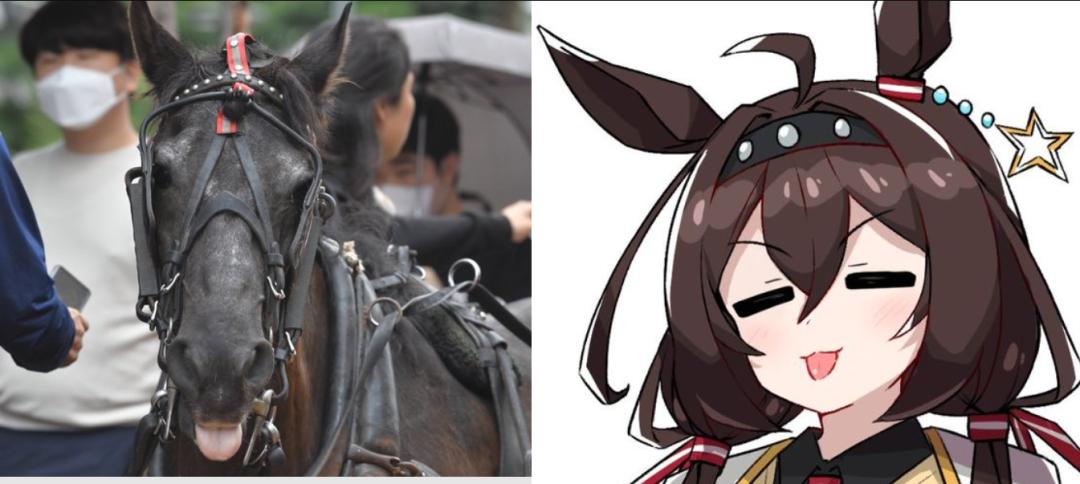 为了抗议《赛马娘》运营,韩国玩家真的拉来了一匹马游街