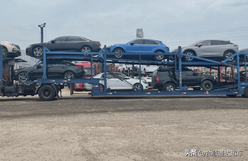 如何判断货运公司真假,怎么判断货运公司是否靠谱