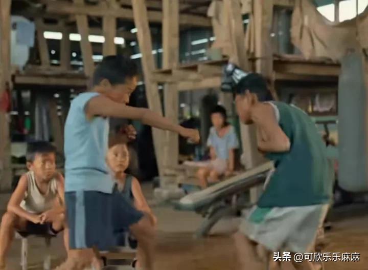 实时票房榜八角笼中,电影票房实时排行八角笼每日票房