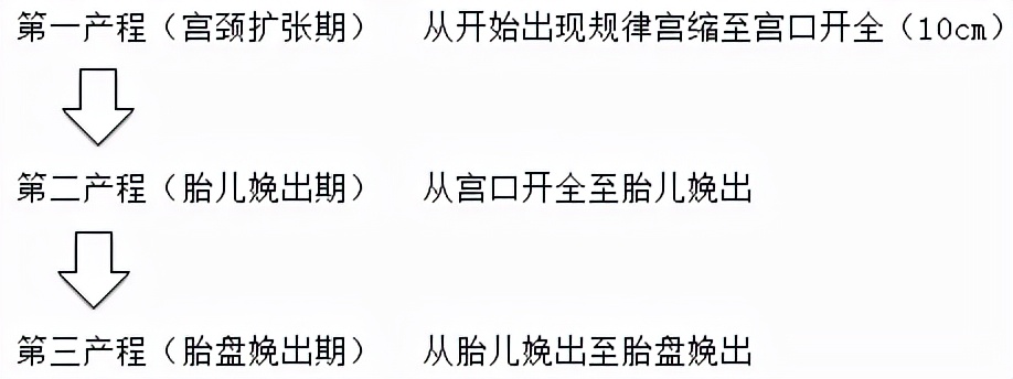胎儿屁股在右侧是什么胎位,胎位roa屁股在左边还是右边