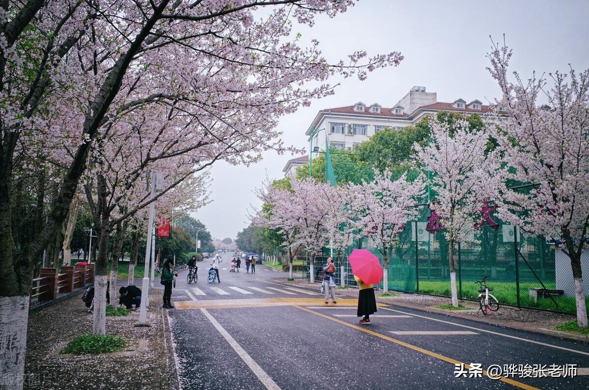 报农学有什么前途,中国农业大学怎么样值得读吗