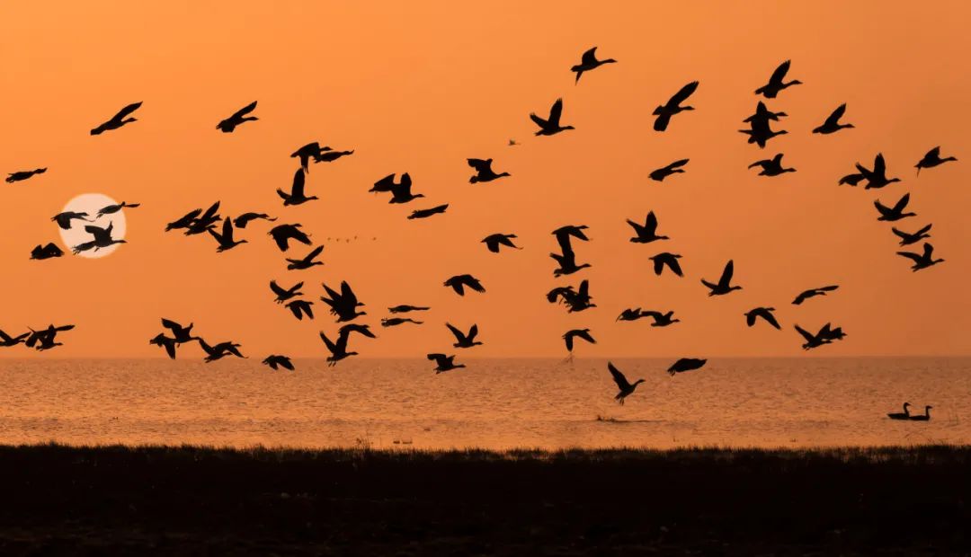 一天一首古诗词|毛*东泽**诗词，毛*东泽**《清平乐·六盘山》