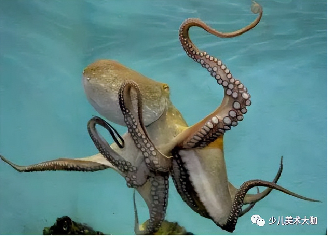 创意美术简单易学,创意美术幼儿