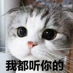 给你讲个睡前故事什么梗,给宝宝讲的睡前小故事