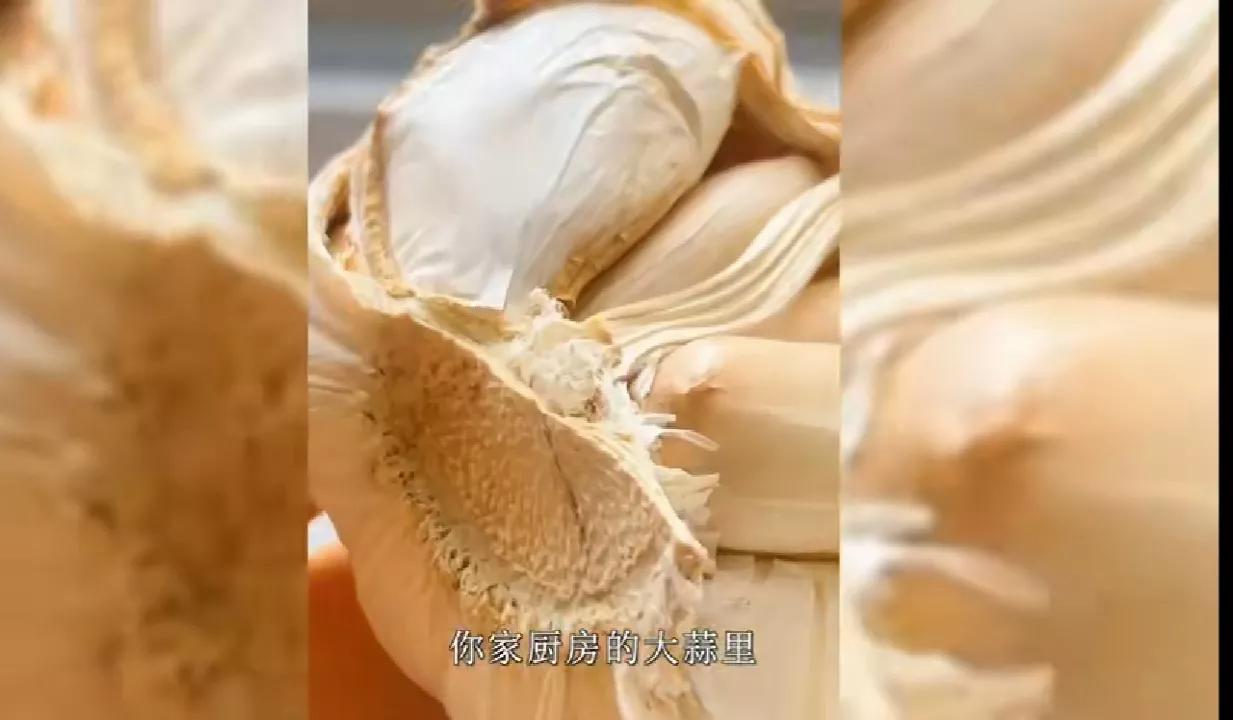 云表情慢慢变粉的表情,云表情包动图