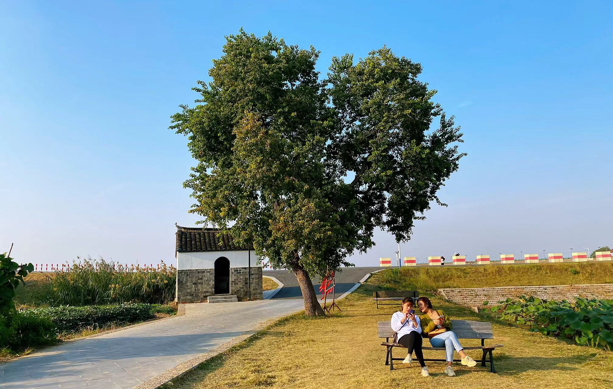 江苏规划一座大桥全长37公里,江苏在建一条大桥