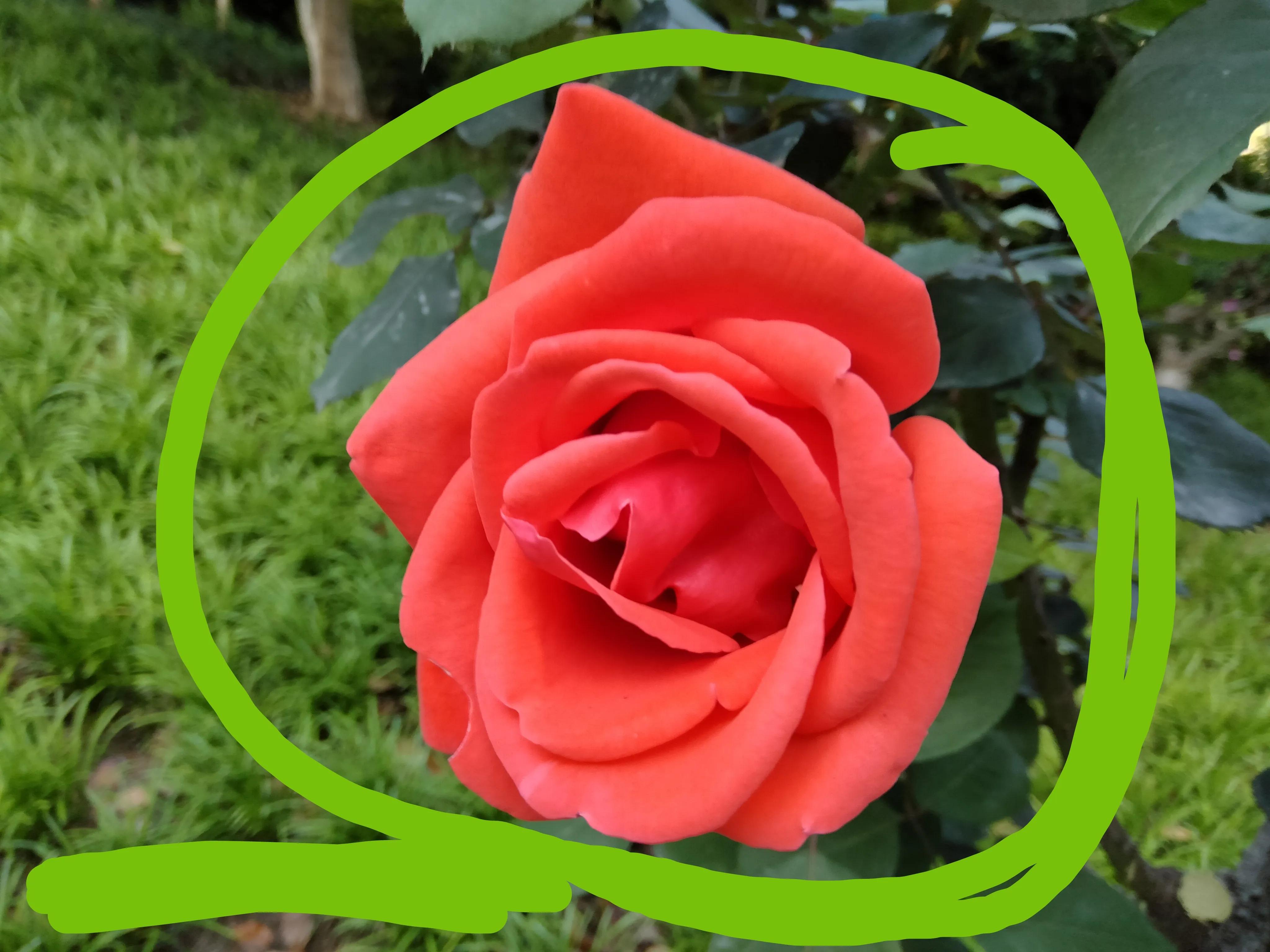 微信朋友圈写作策略,微信有哪些写作技巧