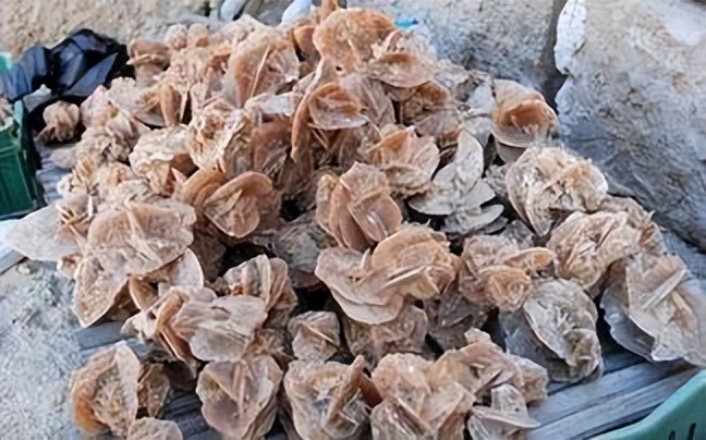 如果去沙漠探险可以带哪些东西,旅行十个地方的石头不能带回来