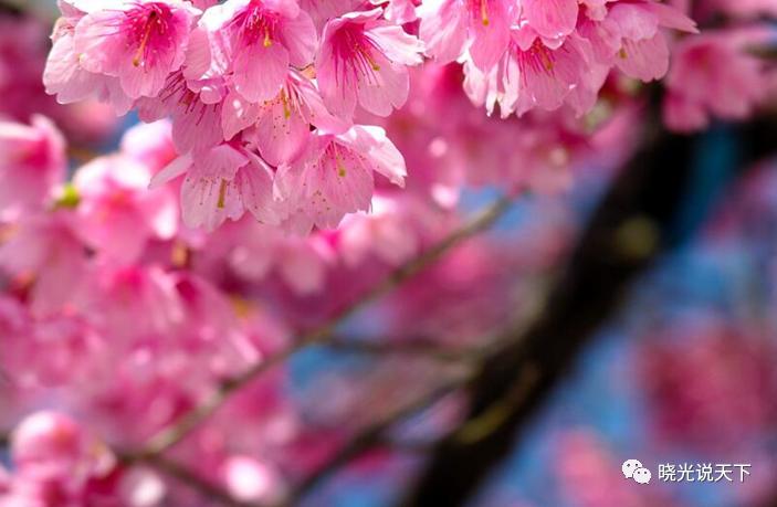 中日文化交流史导论,中日文化交流史视频