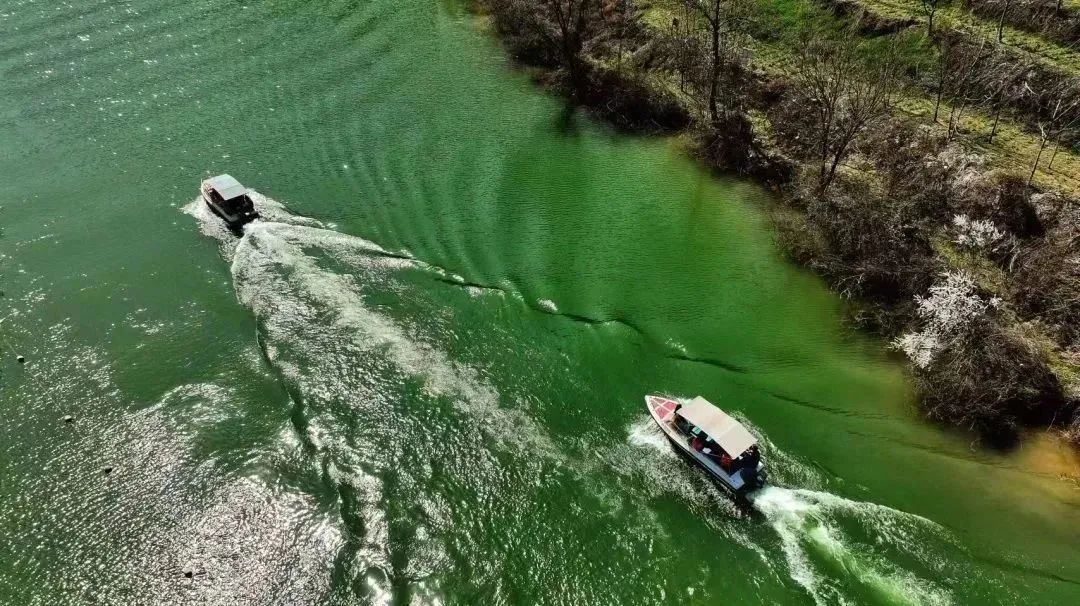 微度假美学生活,微度假慢生活轻养老