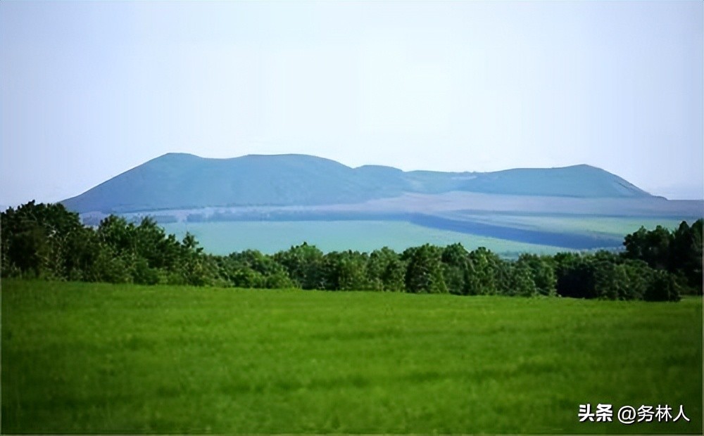 林权证有行政确权功能吗,林权登记不具行政确权功能