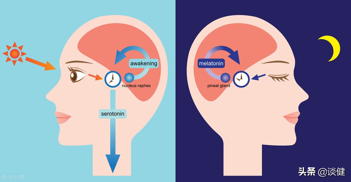 穿袜子睡觉，可降低核心体温帮助睡眠？老年人做好这6点睡得更香