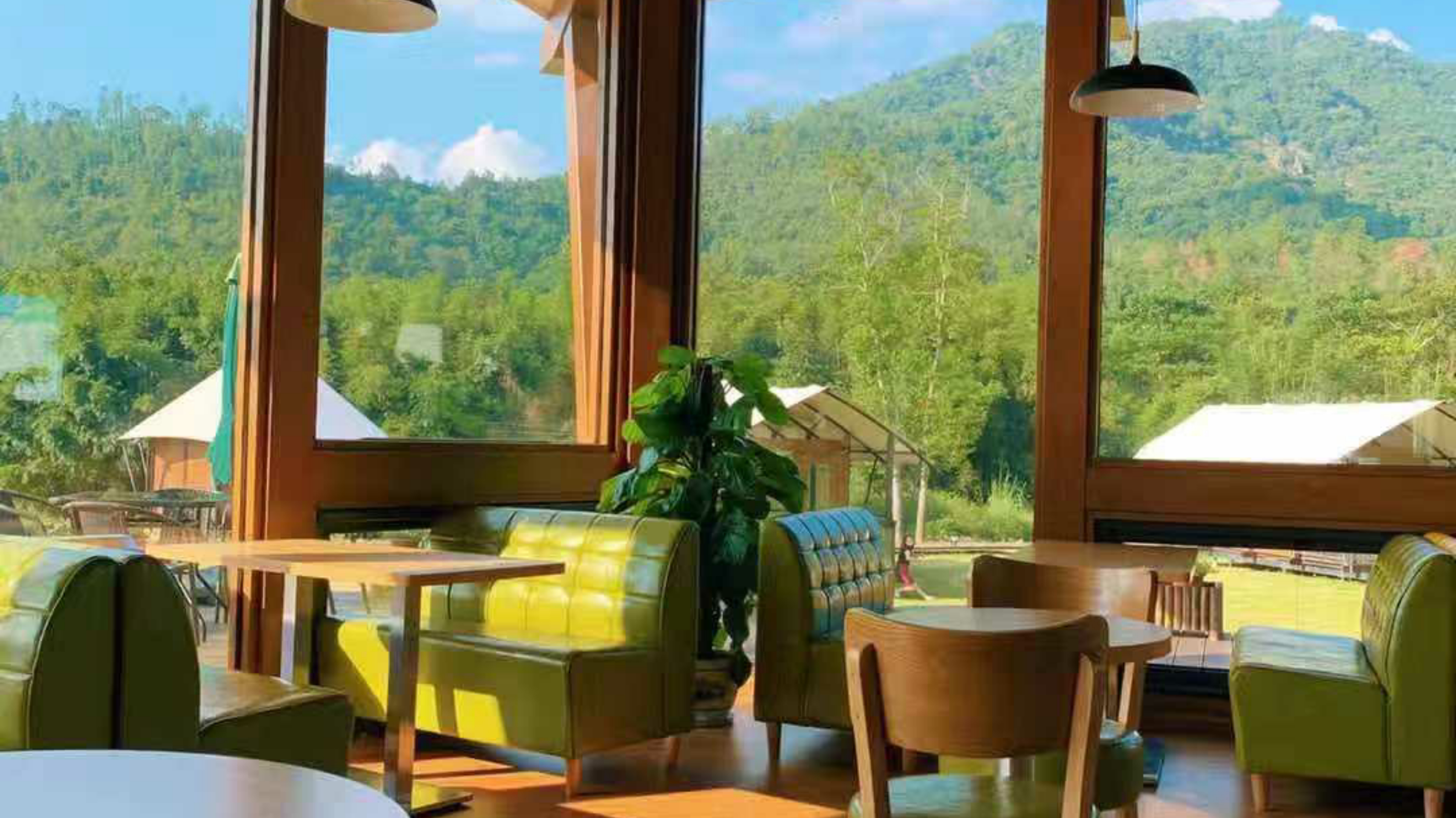 惠州赏梅花地方,惠州惠东梁化镇梅园