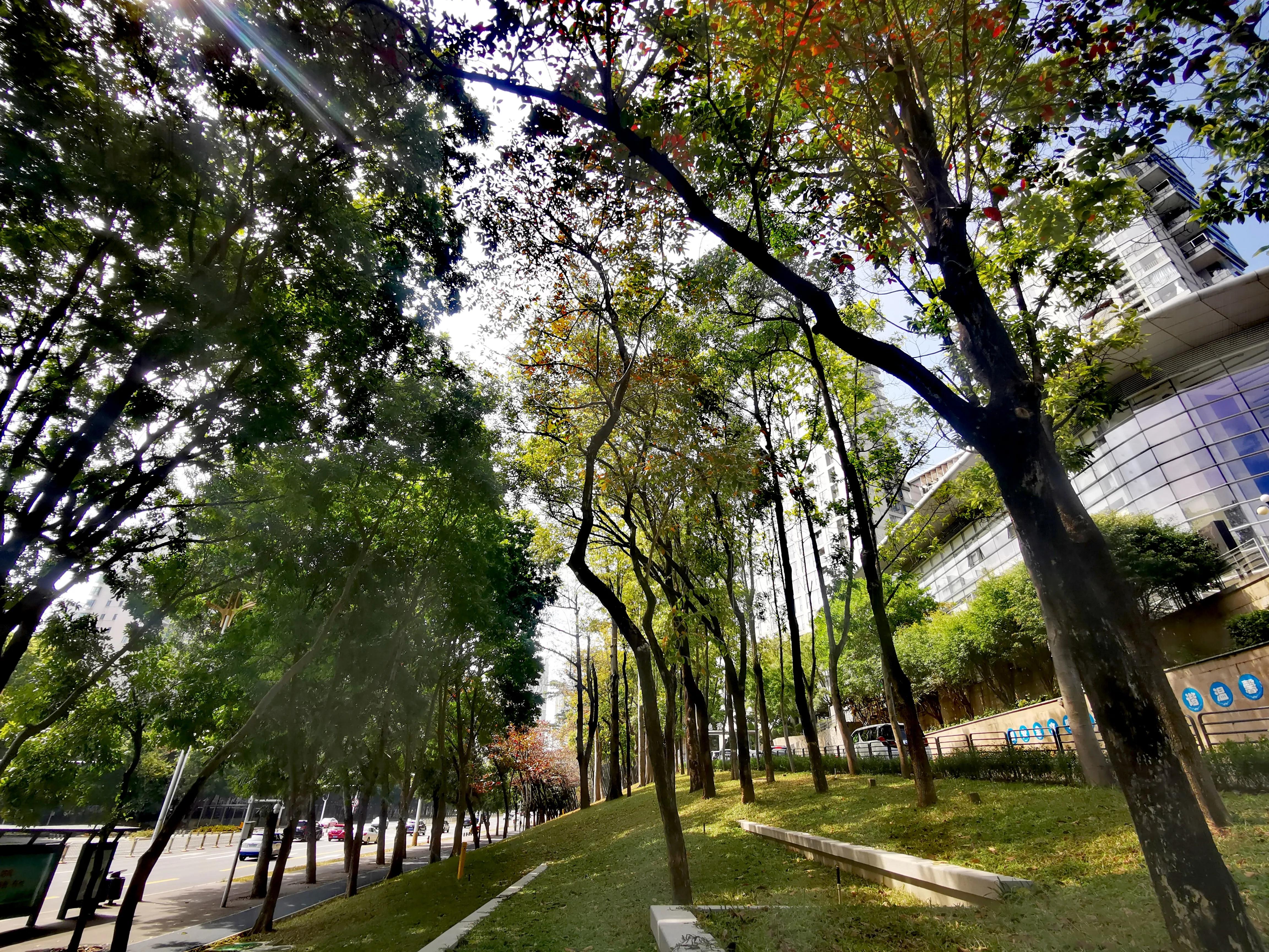 深圳街拍夏天视频,深圳冬季街拍