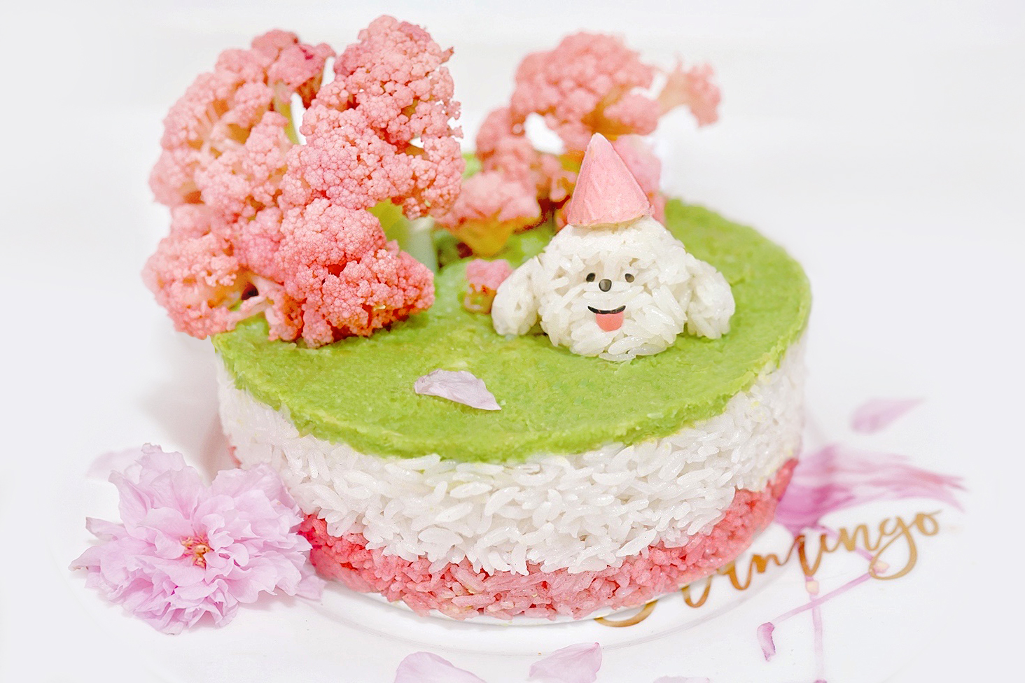 电饭煲对比测评,电饭煲和高压锅推荐