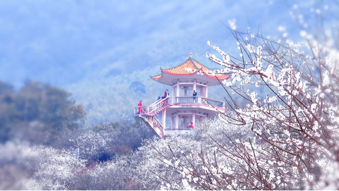 流溪河国家森林公园广州市从化区,广州流溪河国家森林公园拍照