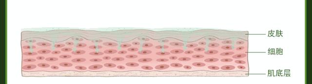跨境电商进口化妆品中文标签,五洲跨境进口电商