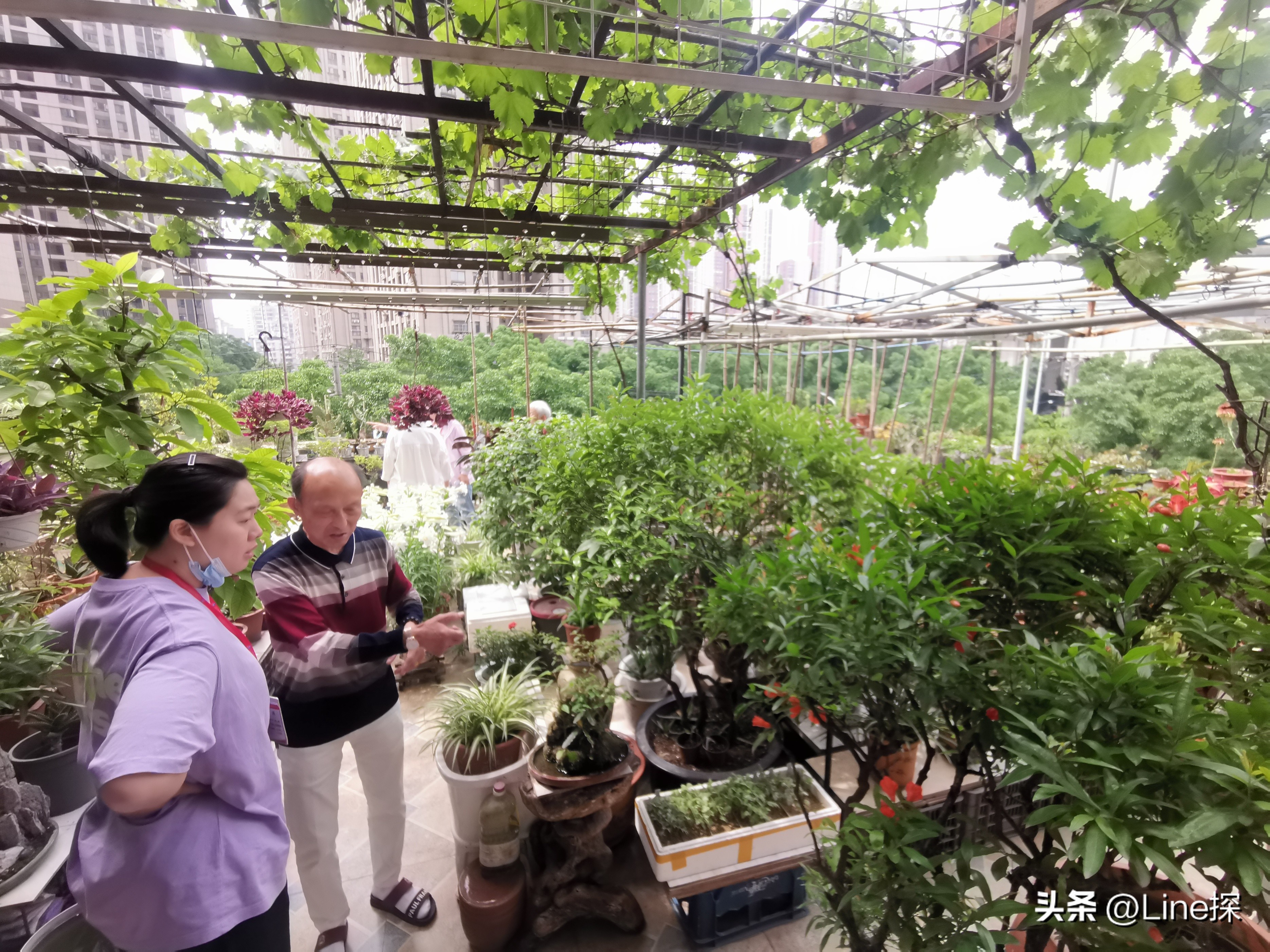 养花名人王海生：人生需要知足常乐