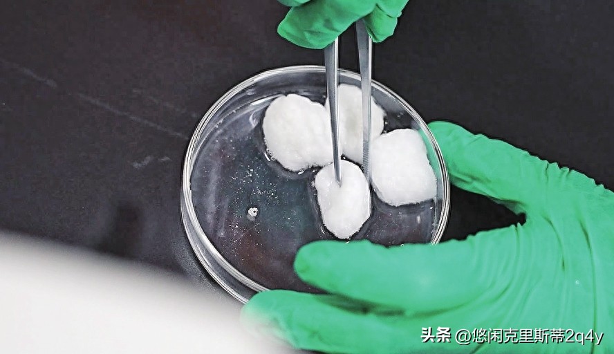 美容细胞抗衰靠谱吗,干细胞在美容抗衰的应用