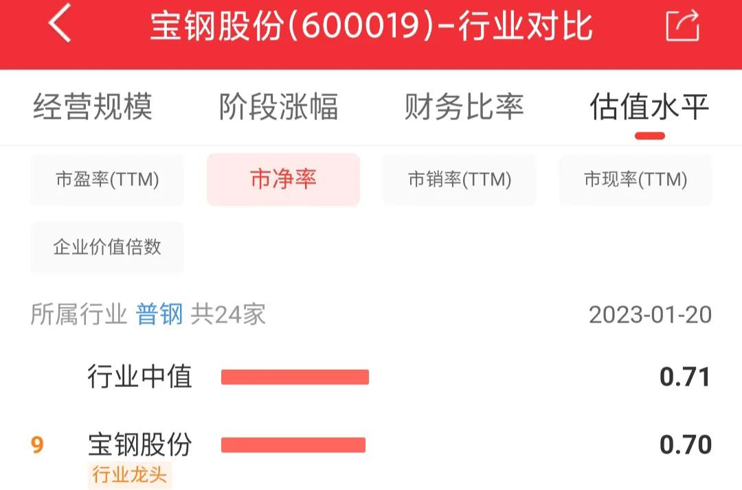 600019宝钢股份千股千评,600019宝钢股份的未来