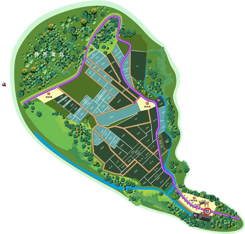 真武山憩园公墓上山道路,成都市公墓