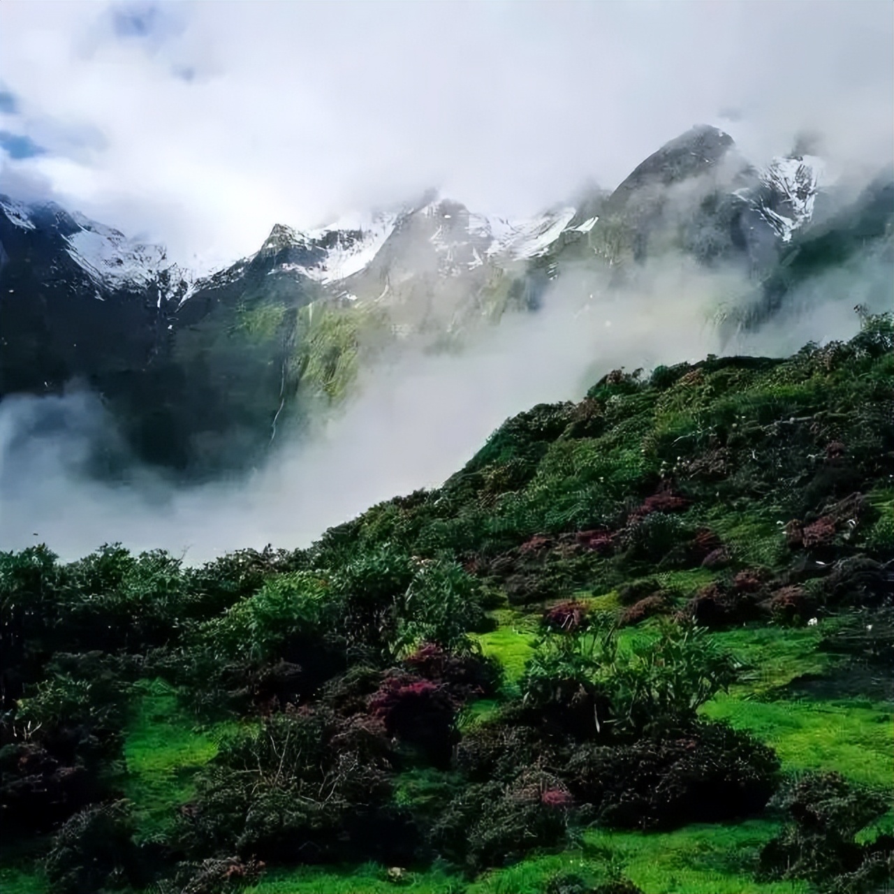中国旅游日凉山,中国旅游日四川景区