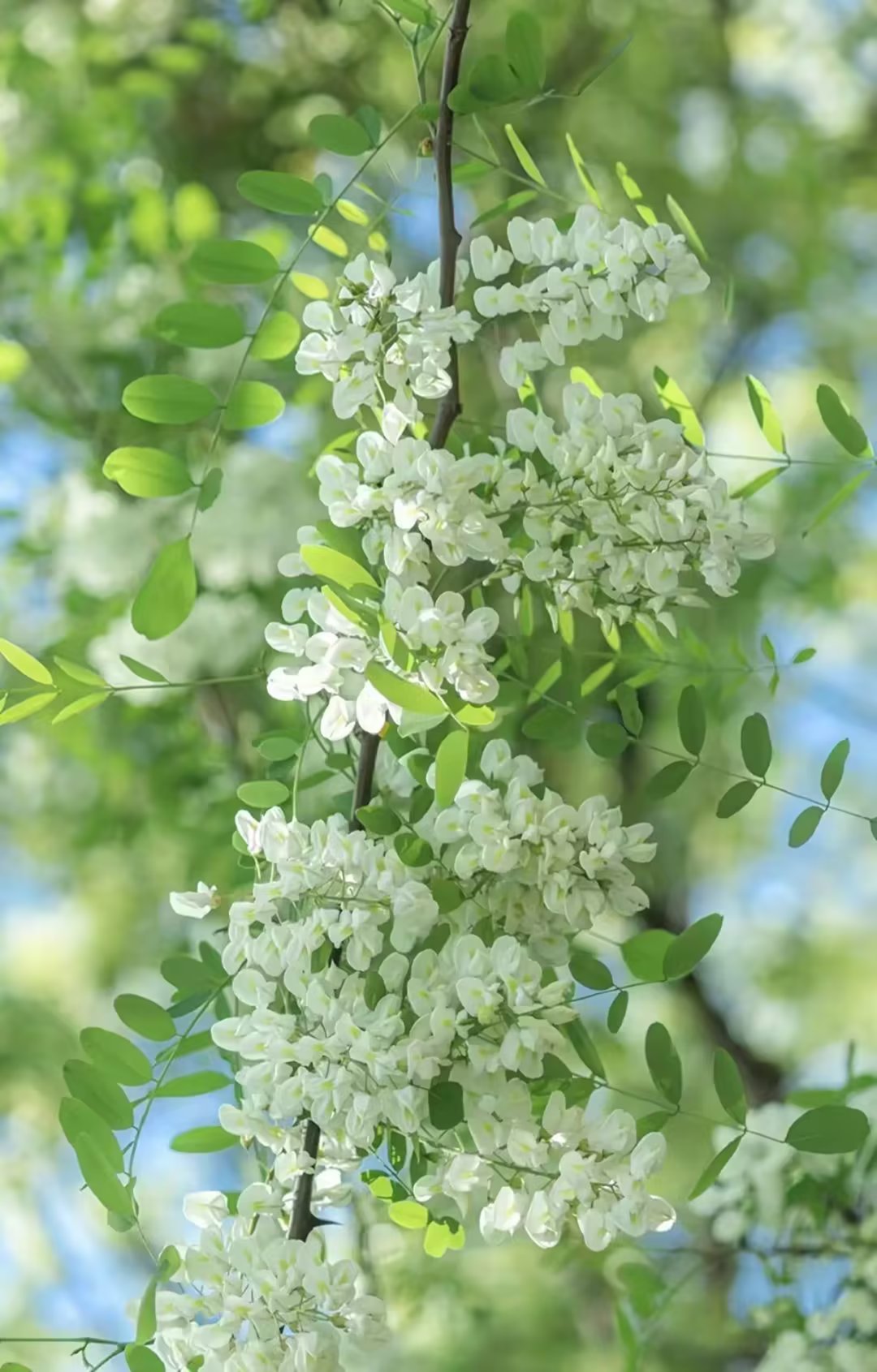 品过人生百味方知人情冷暖,余生不慌不忙不急不躁不悲不喜