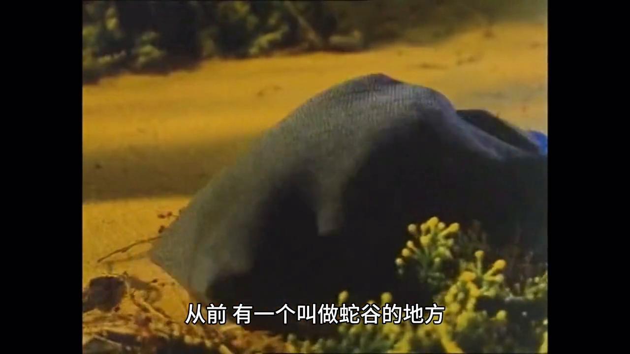 神奇的大自然二年级看图写话,神奇的大自然绘画