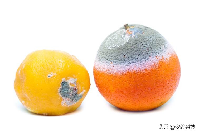 安翰磁控胶囊胃镜确诊率,胶囊内镜查胃癌靠谱吗