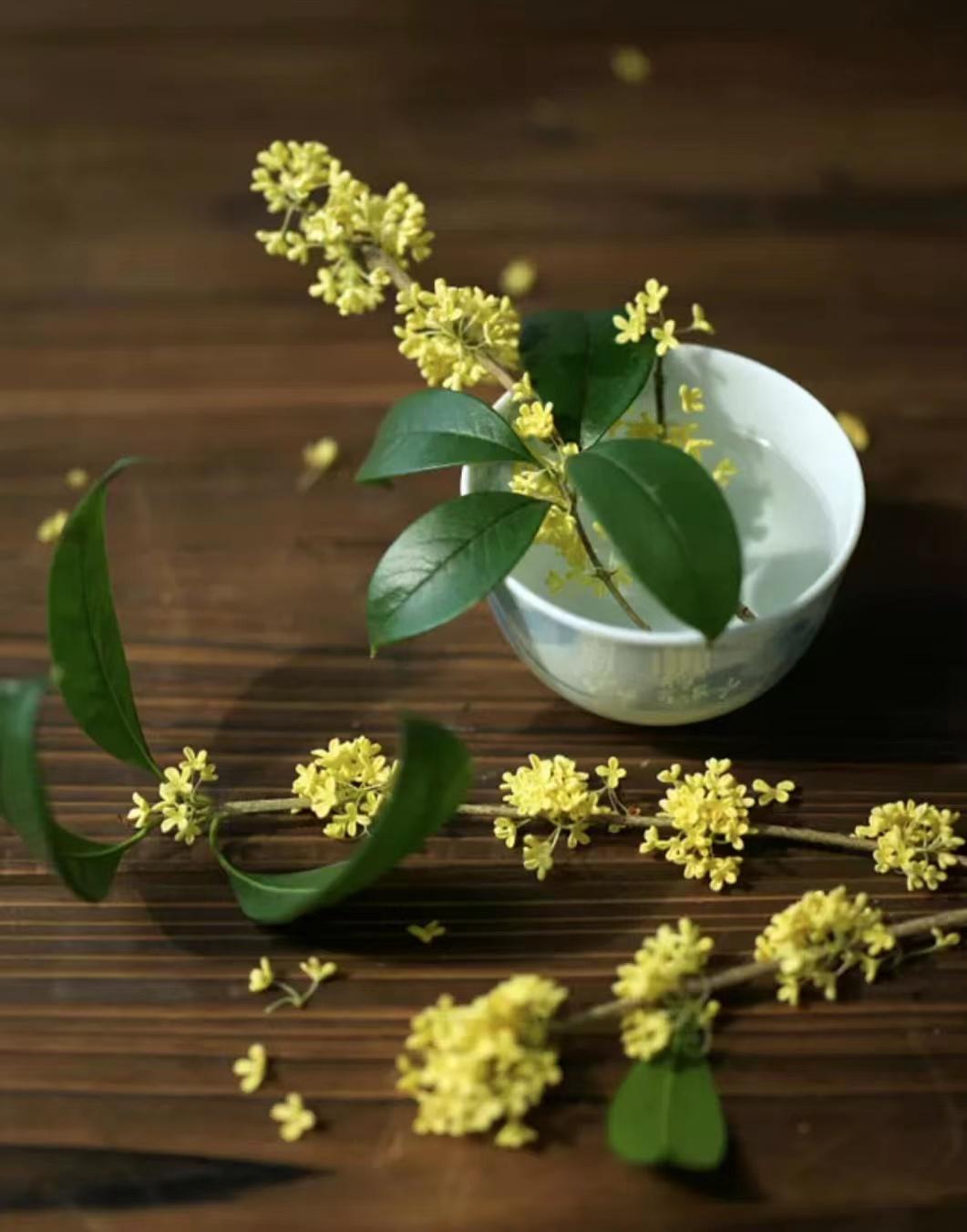 夏令爱男子，春天爱少女，秋高气爽爱自己I秋天礼物清单